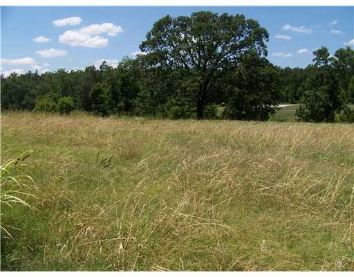 20988 Double Tree Crossing, Springdale, AR 72762 - photo 1