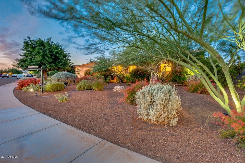Front yard
