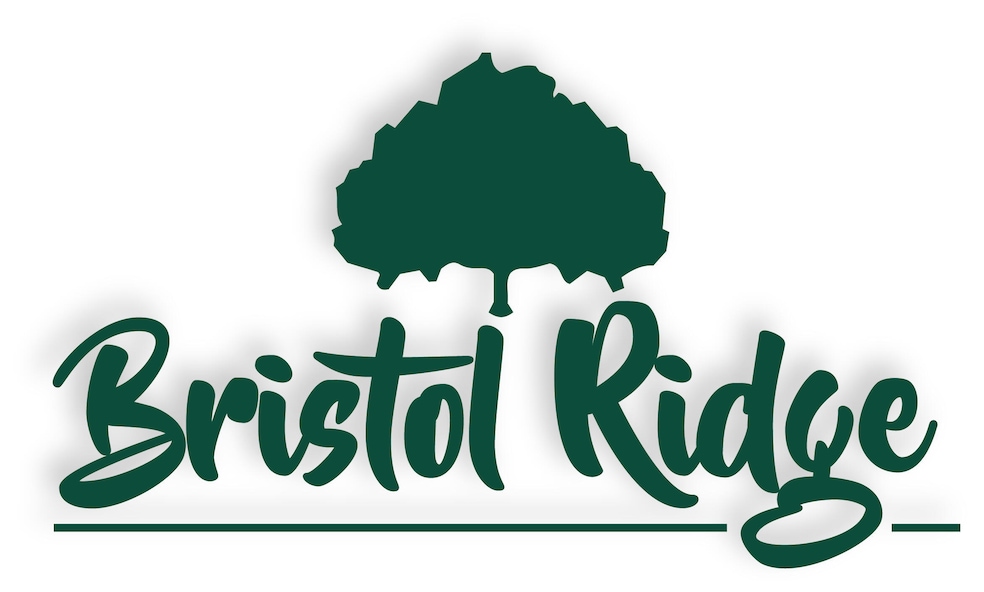 TheWaltersTeam-11-23-LogoRecreate-Bristo