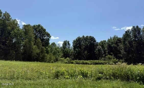IMG_3747