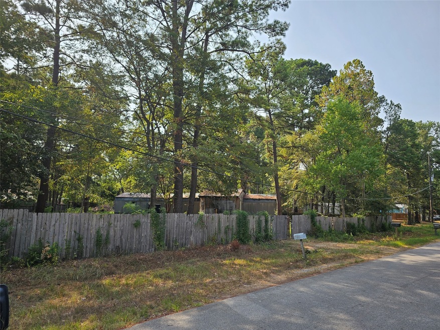 23815 Brushy Trails St, Hockley, TX 77447 - photo 1