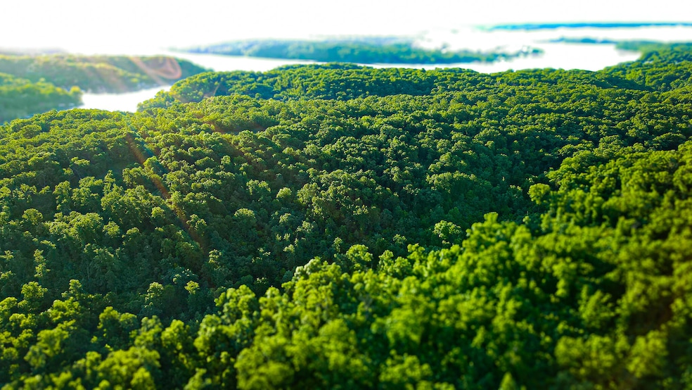 Tbd Sandy Rd, Cross Timbers Township, MO 65326 - photo 1