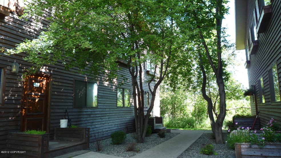 Walkway from Carport