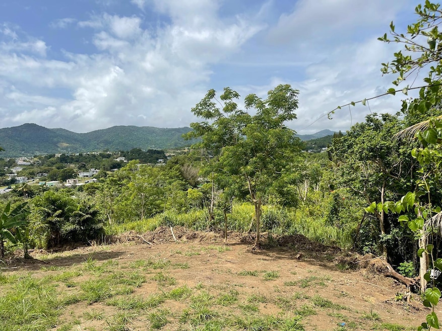 0 Bo Arenas Carr Pr-734 Km 6 3 unit MFRPR9116009, Cidra, PR 00739 - photo 1