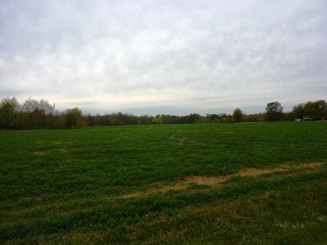 3 S Cameron Ln, Peoria, IL 61607 - photo 1