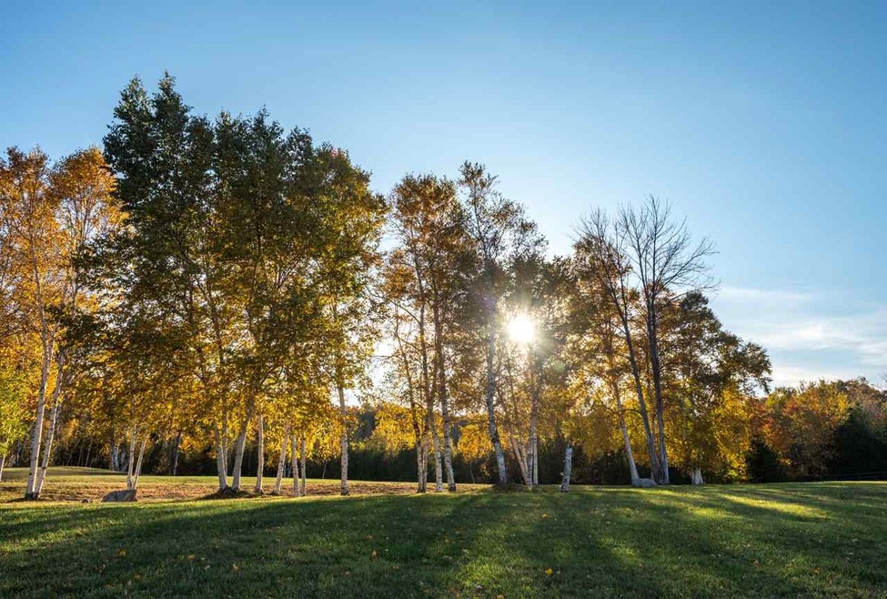 7384 Preserve Dr N, Petoskey, MI 49770 - photo 1