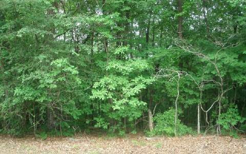 LT 55 Timberwalk Dr, Ellijay, GA 30540 - photo 1