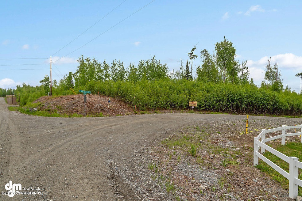 B3 L9 S Preston Hills Dr, Big Lake, AK 99654 - photo 1