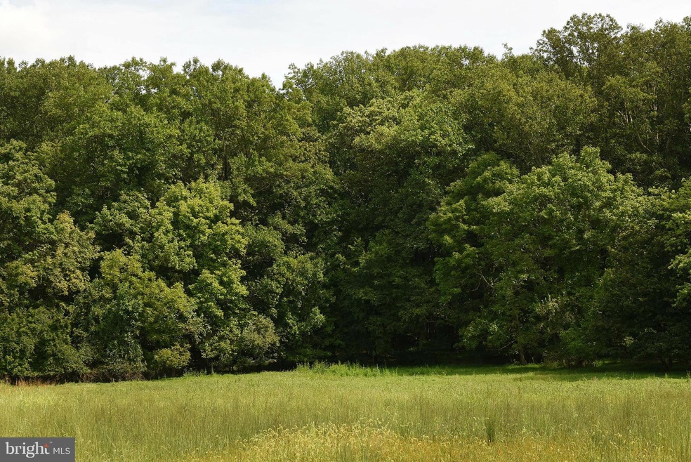 12227 Dover Rd, Owings Mills, MD 21117 - photo 1