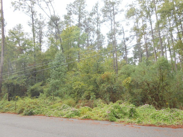 205 Tremont Way, Augusta, GA 30907 - photo 1