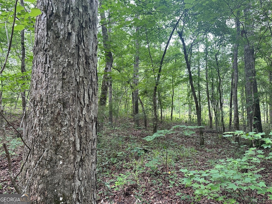 0 Waterview Dr unit 10554814, Lagrange, GA 30240 - photo 1