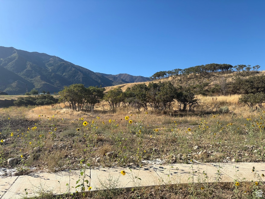View of mountain background with rural landscape