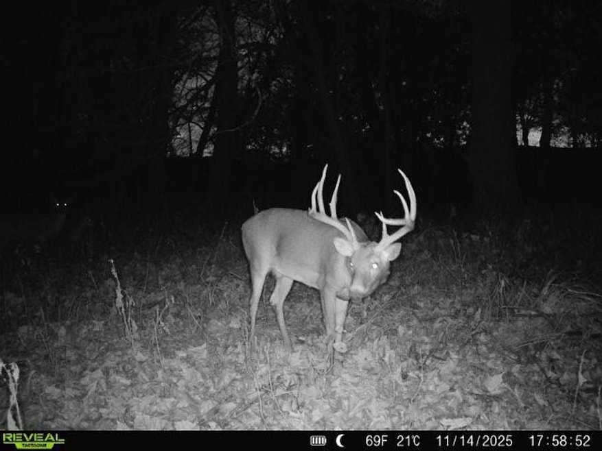 00000 20th Rd, Yates Center, KS 66783 - photo 1