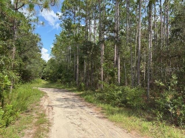0000 SW 39th St, Dunnellon, FL 34432 - photo 1