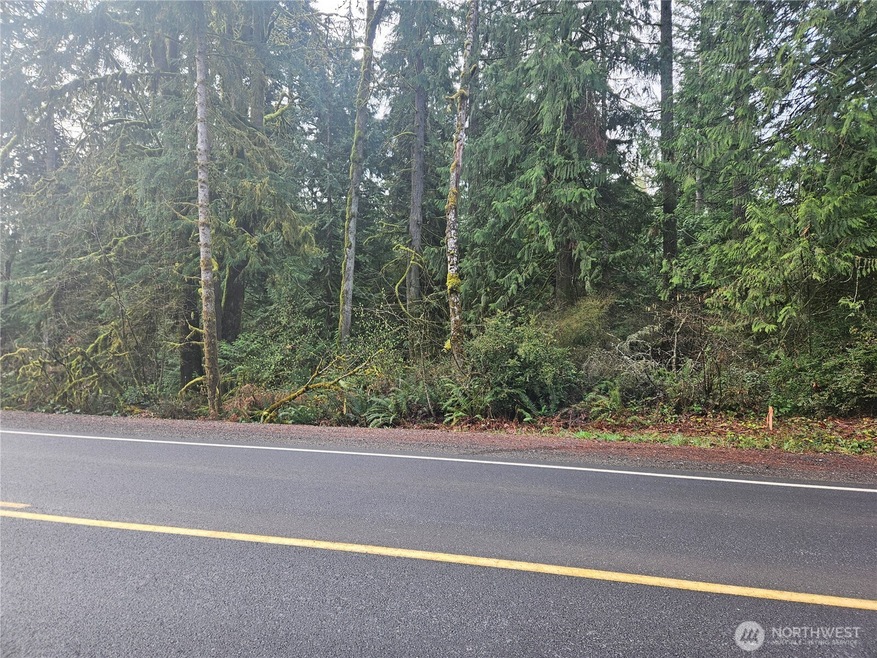 0 SE Nelson Rd unit NWM2346090, Olalla, WA 98359 - photo 1