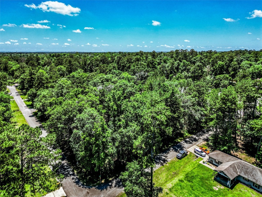 This stunning piece of raw land offers a canvas fo