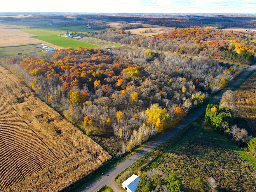 Lot 4 320th St, Forest Township, WI 54005 - photo 1