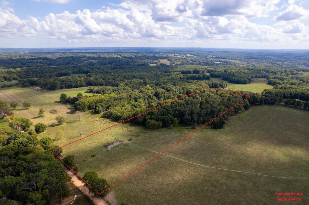 03 Carnell Rd, Rocky Comfort, MO 64861 - photo 1