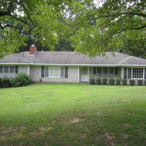 Main View