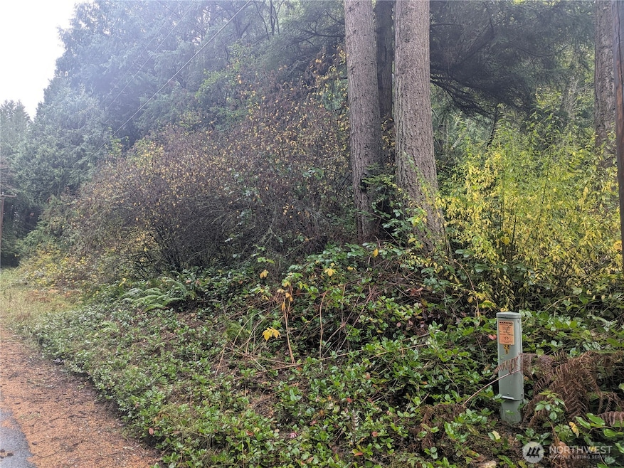 0 XXX Jewett Rd, Clinton, WA 98236 - photo 1