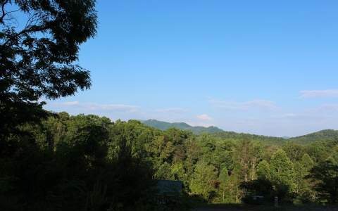 Main View