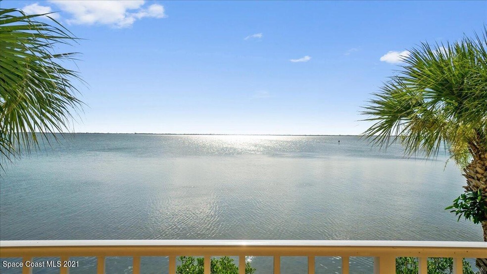 Back patio View