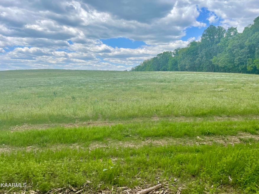 0 Clark Rd Somerset Farms Lot 1 unit 1226747, Rutledge, TN 37861 - photo 1