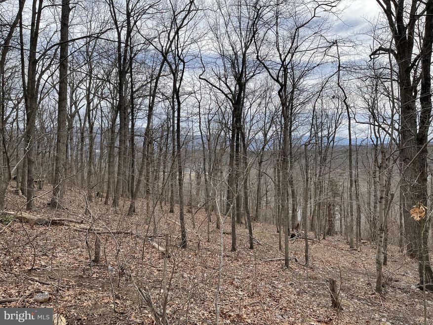 0 River View Rd unit VAPA105930, Rileyville, VA 22650 - photo 1