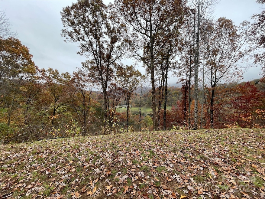 97 Junebug Trail, Waynesville, NC 28785 - photo 1