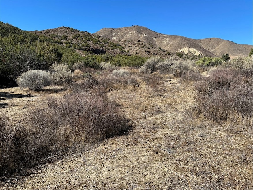 0 Acton Avenue 41st St W unit SR25263699, Acton, CA 93510 - photo 1