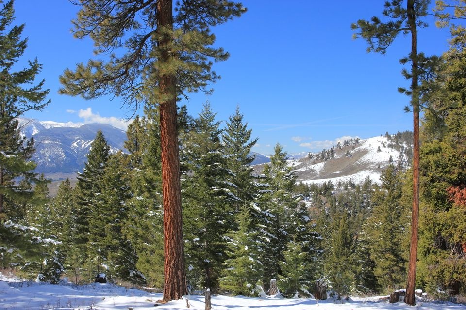 View overlooking valley