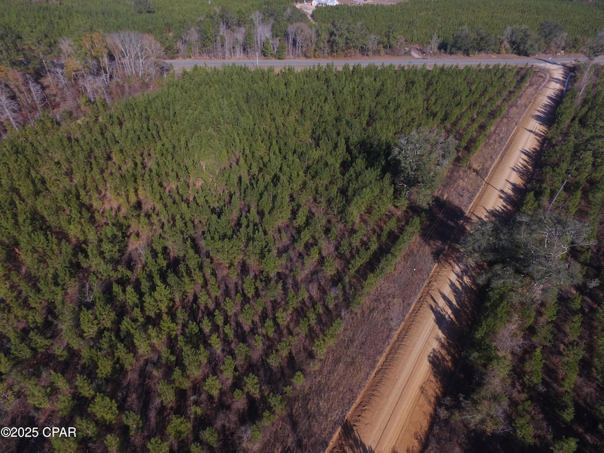 TBD Lot 4 Peanut Rd, Cottondale, FL 32431 - photo 1