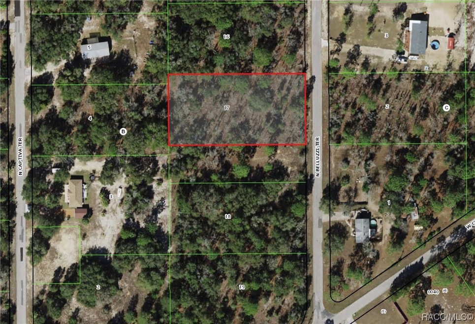 1 acre of buildable land in Pine Oaks Estates!