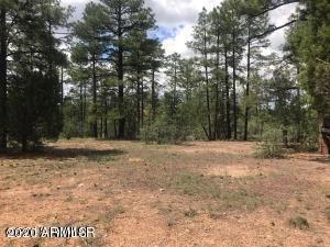 360 Aspen Way unit 207, Show Low, AZ 85901 - photo 1