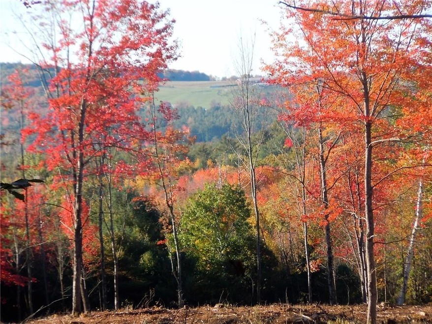 00 Durgintown Rd, Hiram, ME 04041 - photo 1