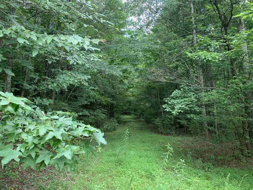 10 ACRES Highway 156, Ranger, GA 30734 - photo 1