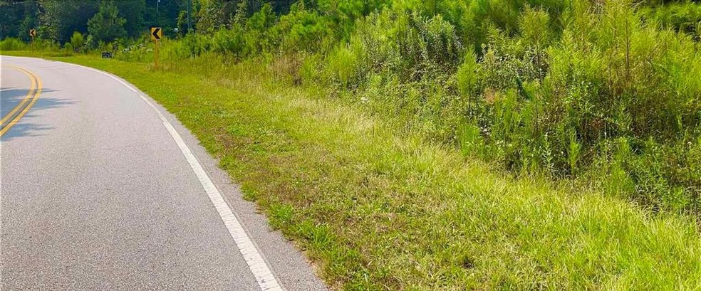 3254 E Fairview Rd SW, Stockbridge, GA 30281 - photo 1