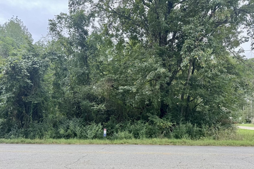 000 Bald Knob Lake Rd, Bald Knob, AR 72010 - photo 1