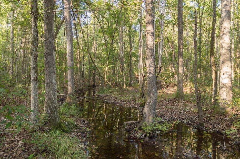 0 S Brewington Rd, Manning, SC 29102 - photo 1