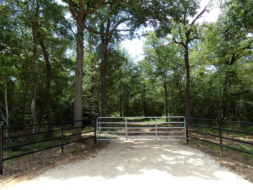 31375 Joseph Rd, Hockley, TX 77447 - photo 1