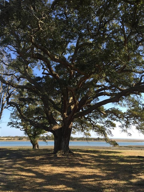 2017 Trinity Ave, Wilmington, NC 28411 - photo 1