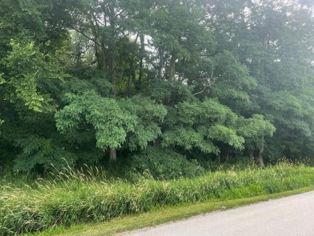 000 TBD Leeward Rd, Richmond Township, MN 55987 - photo 1