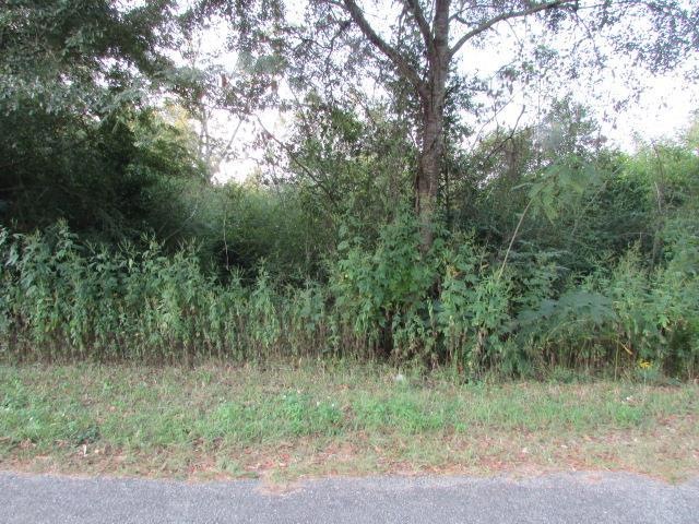 000 Mulberry Ln, Cairo, GA 39828 - photo 1