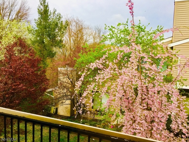 122 Overlook Dr unit 2816D, Clinton, NJ 08809 - photo 1