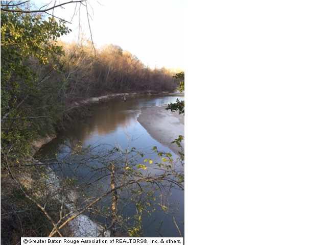 River view from back of property