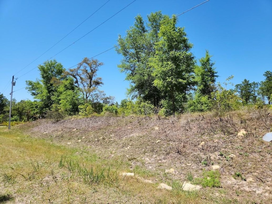 lot 5 SW 64th Ln, Ocala, FL 34481 - photo 1