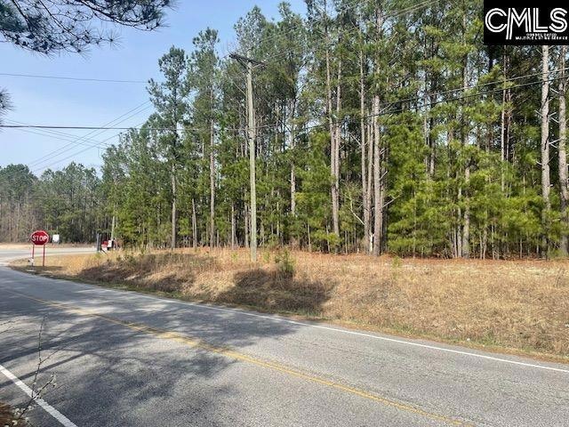 W/S Rabon Rd, Columbia, SC 29223 - photo 1