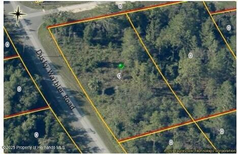 0 Dusky Warbler Rd unit 2256845, Weeki Wachee, FL 34614 - photo 1