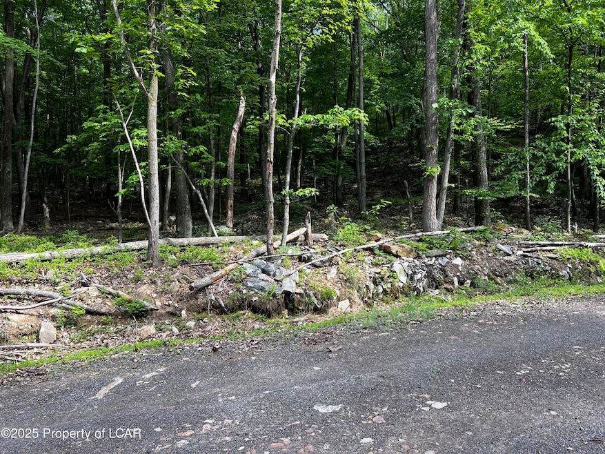 10 Rear Old Berwick (Burma Rd) Rd, Sugarloaf, PA 18249 - photo 1