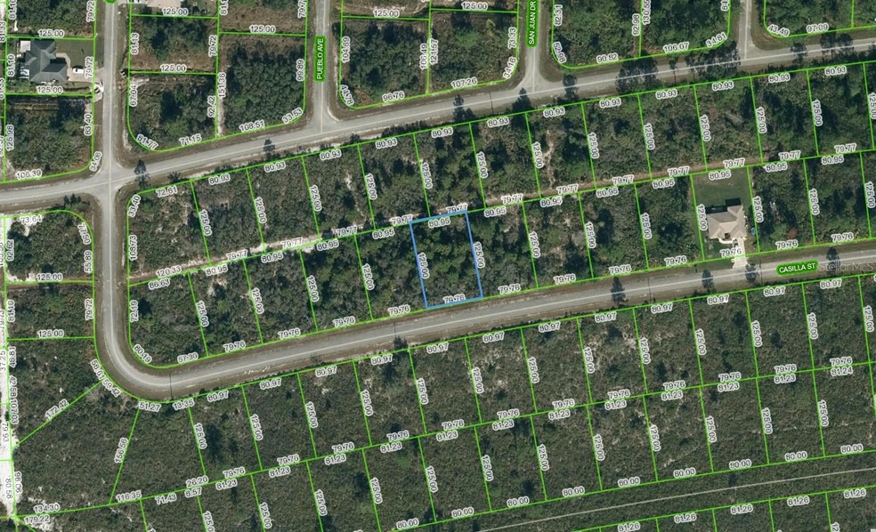 7412 Casilla St, Sebring, FL 33872 - photo 1